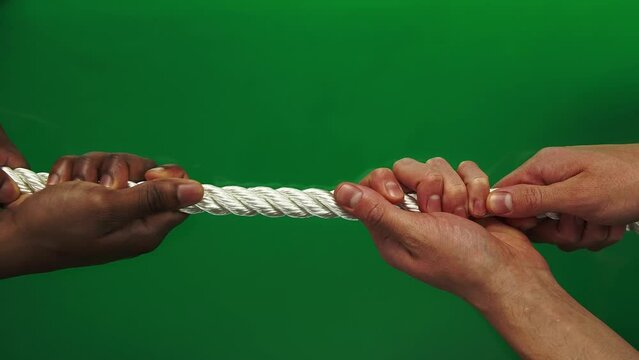 Tug of war between African American and Caucasian men filmed in closeup on chroma key. Two male people are pulling rope on green screen. The struggle for racial equality. Concept of black lives matter
