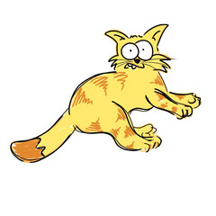A surprised yellow cat, cat cartoon timid and confused