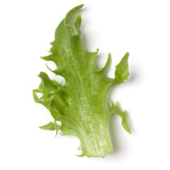 fresh frillice iceberg leaf salad isolated on white background. Top view, flat lay. - 519679482