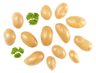 Potatoes and parsley isolated over white background. Top view. Flat lay pattern. Potatoes in air, without shadow..