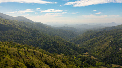 Tropical green forest in the mountains and jungle hills in the highlands of Sri Lanka.