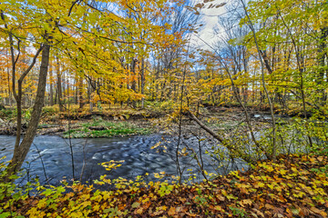 The bend in the river decorated by the golden leaves - Fall in Central Ontario, Canada
