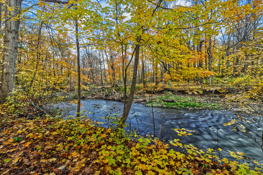 The river flow with the fall foliage like a painting - Fall in Central Ontario, Canada