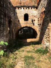 Naklejka premium old abandoned building, nature grows back brick