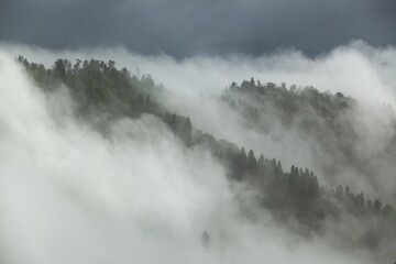 Cloud formation in amazon rainforest during monsoon wet season woods on a mountain . Fog concept.