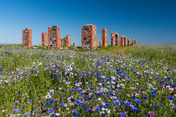Ruins of an old building that looks like Stonehenge and multicolored (blue, purple, pink, white and other) cornflower flowers (Centaurea cyanus) field in sunny summer day, Smiltene, Latvia.