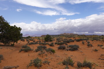 Fototapeta premium Canyonlands, Moab, Utah, USA