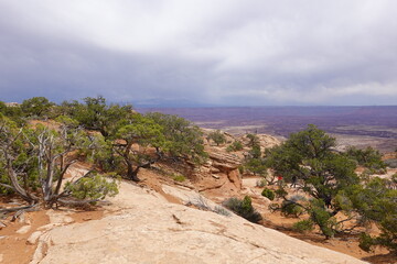 Canyonlands, Moab, Utah, USA