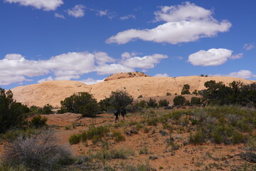 Fototapeta na wymiar Canyonlands National Park, Moab, Utah