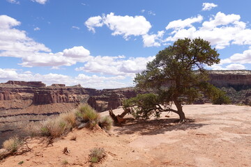 Canyonlands National Park, Moab, Utah