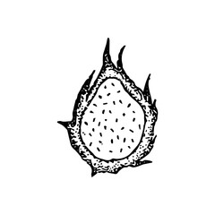 Obraz premium Dragon Fruit Dotwork. Vector Illustration of Hand Drawn Objects.