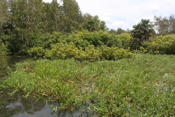 Fototapeta premium Kakadu National Park, Northern Territory