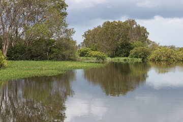Fototapeta na wymiar Kakadu National Park, Northern Territory