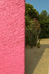 Luis Barragan's Cuadra San Cristobal pink wall, endemic vegetation and sandy ground in the background