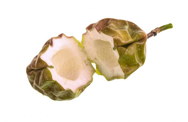 Passionfruit Thick Rind and Empty Casing