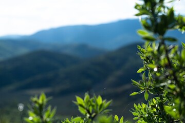 Mountain village on the green hills. Beautiful mountain hills. Green mountain hills landscape. Mountain landscape