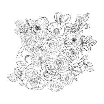 vector drawing natural background with butterfly and flowers, black and white coloring page, hand drawn illustration