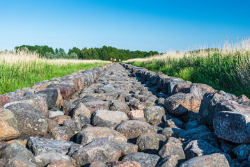 Straight old and long mole paved with stones going through the reed field till Baltic sea, Ainazi, Latvia.