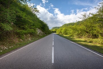 Mountain road. Landscape with green forest with road  on sky background