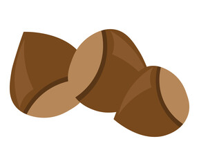 nature forest hazelnuts healthy food