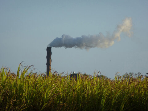 Industrial Chimney Belching Smoke