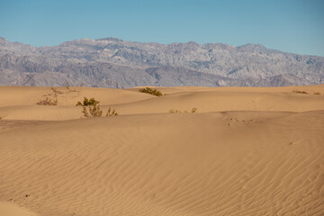 Fototapeta na wymiar Desert Landscape with Mountains in Background in Death Valley