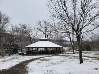 winter in the park