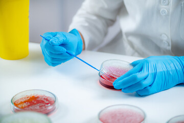 Microbiology laboratory work. Hands of a microbiologist working in a biomedical research...