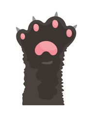 cat paw animal