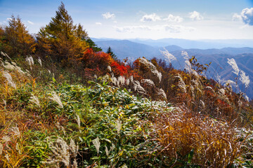 秋の高峰山展望台(長者峰)からの展望