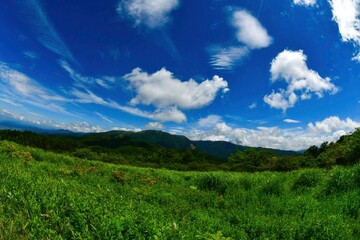 Fototapeta na wymiar 夏の青い空が広がるさわやかな高ボッチ高原