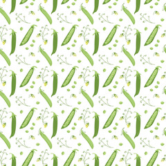 Seamless pattern of green peas on white background in hand-drawn style. Healthy vegetables. Vector illustration for decor, wrapping paper, print