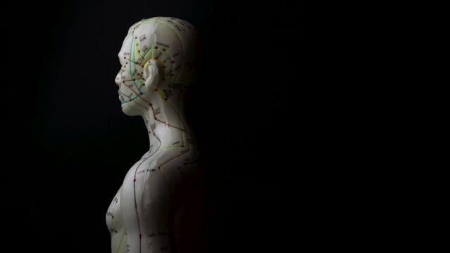 Rotating acupuncture mannequin model showing meridians of the human body in spin with moody high contrast lighting concept for alternative medicine therapy and traditional Chinese healing methods