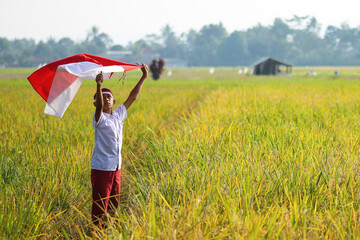 Portrait of Indonesian elementary school boy on the rice field waving an Indonesian flag celebrating independence day.