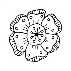 hand drawn doodle plant element for floral design concept