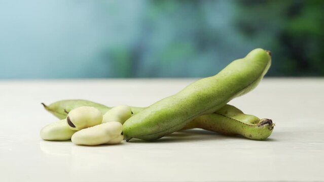 Fresh broad beans on a solid color background
