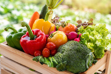 Wooden crate filled with fresh organic vegetables in morning light. .