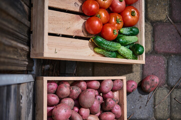 Partial view of a wooden crate with homegrown organic vegetables, cultivated in eco farm for sale at farmers markets