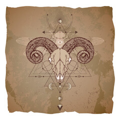 Vector illustration with hand drawn ram skull, dragonfly and Sacred geometric symbol on vintage paper background with torn edges.