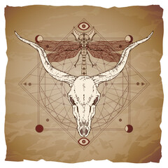Vector illustration with hand drawn buffalo skull, dragonfly and Sacred geometric symbol on vintage paper background with torn edges.