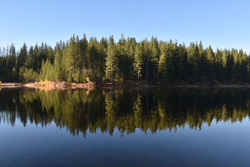 Fototapeta na wymiar reflection in the lake
