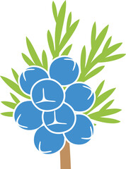 Fototapeta na wymiar Juniper berries logo. Isolated Juniper berries on white background