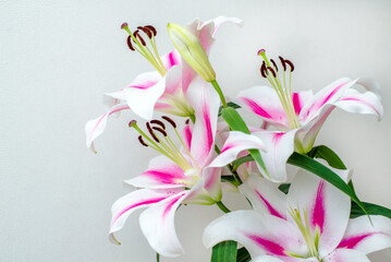  Bouquet of white lilies on white background
