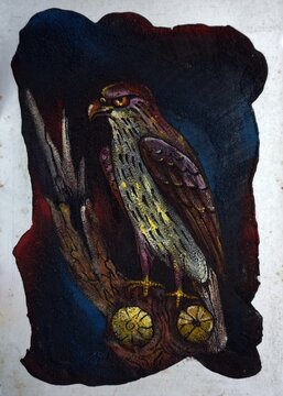oil painting art imaginary bird , eagle ,  hawk , Safari , zoo ,  forest , jungle
