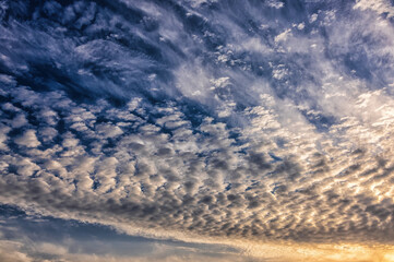 Obraz premium summer evening sunset with small yellow clouds