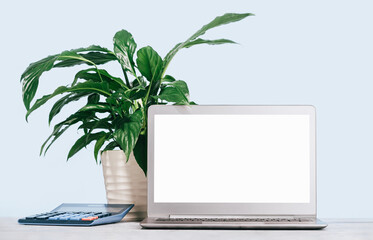 Front view of the laptop with mockup gradient screen on the desk with calculator. Copy space. Minimal monochrome. Small plant in a pot