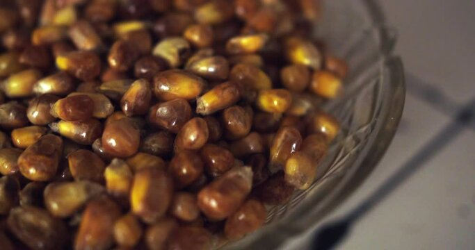 closeup of plate with andean toasted chulpe corn.