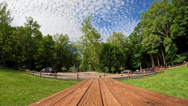 Time lapse in park during cloudy day and blue sky.