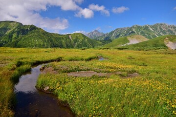 Autumn scenery in Tateyama alpine, Toyama