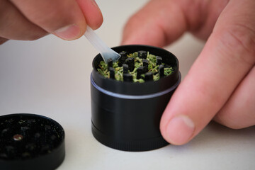 Two hands using plastic scraper to clean marijuana grinder with traces of milled cannabis female...